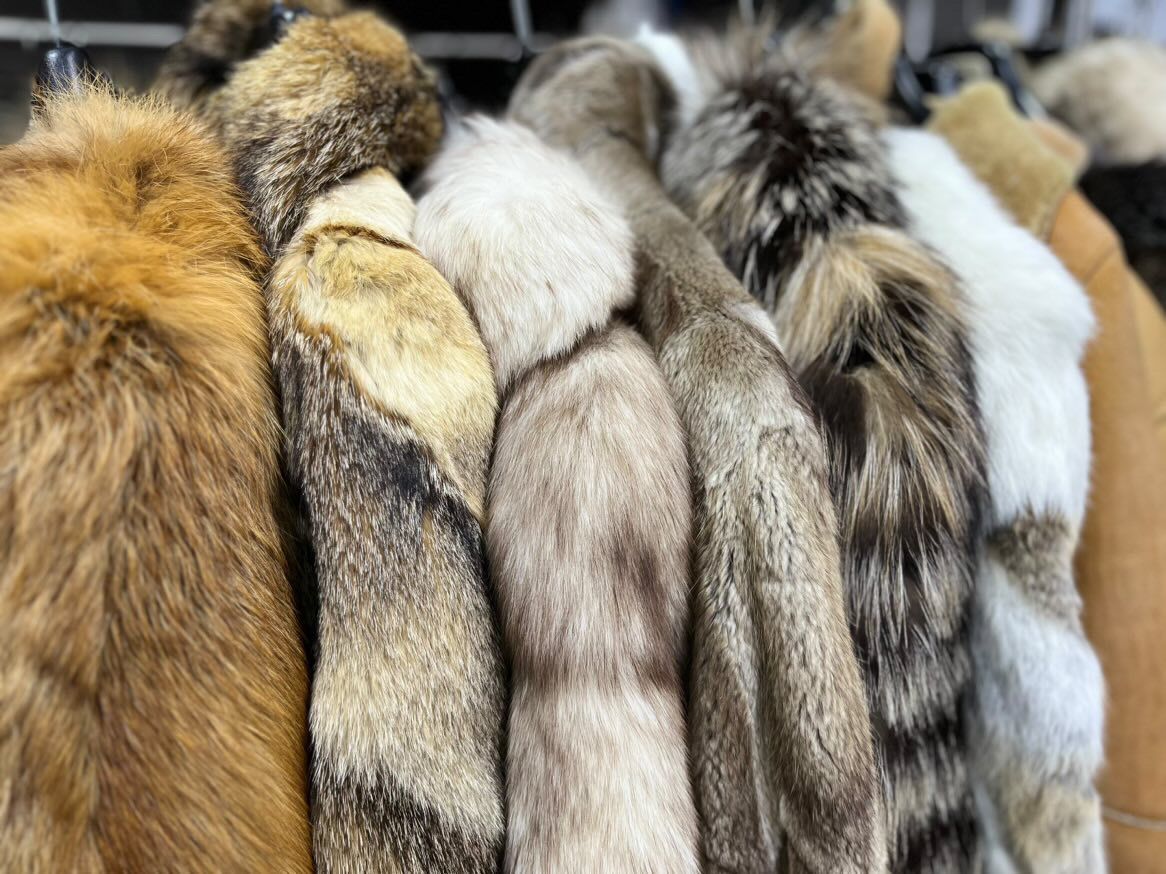 showroom invierno 2025