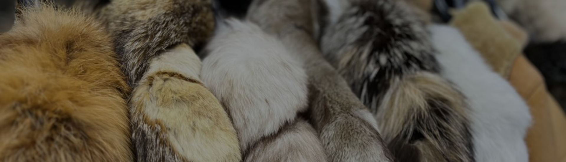 showroom invierno 25